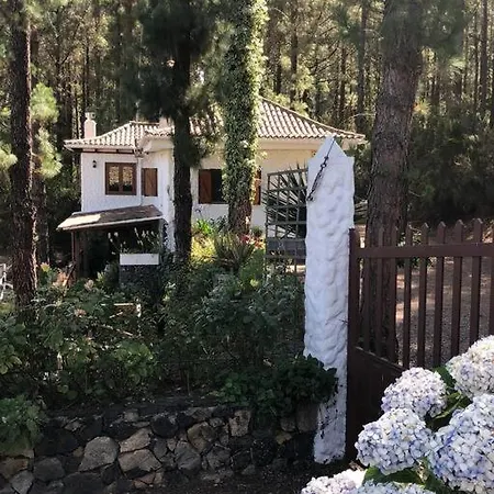 Casa de Férias Floral Garden House Icod De Los Vinos