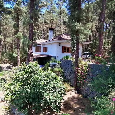 Floral Garden House בית נופש