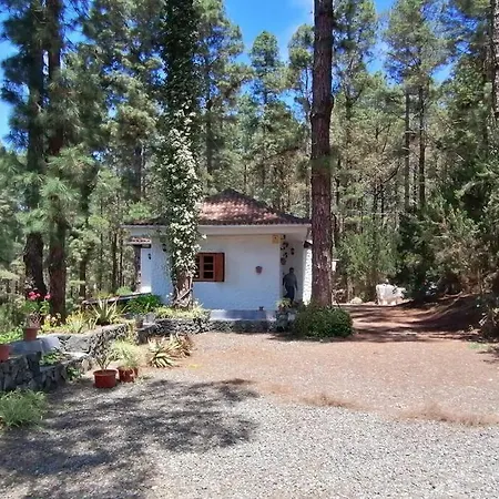 Floral Garden House