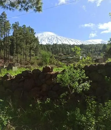 Floral Garden House Casa de Férias
