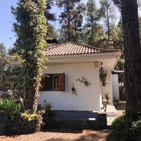 בית נופש Floral Garden House