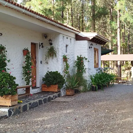 Floral Garden House