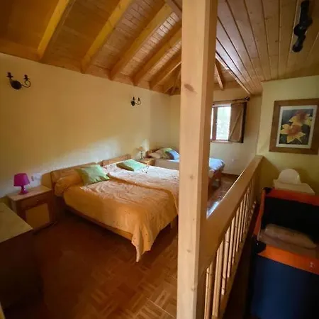 Floral Garden House Tatil Evi