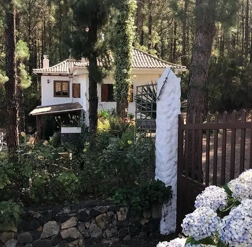 度假居 Floral Garden House 伊科德·德·洛斯·维诺斯