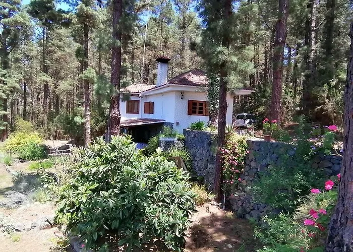 Floral Garden House 度假居