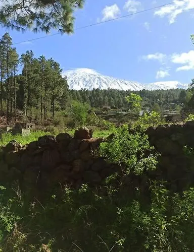 Floral Garden House 度假居
