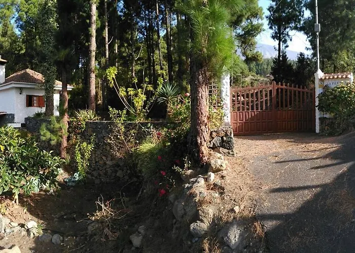 Floral Garden House * Icod De Los Vinos